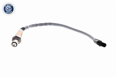 VEMO V30-76-0055 EAN: 4046001953811.