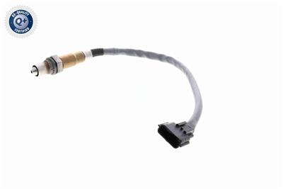 VEMO V30-76-0055 EAN: 4046001953811.