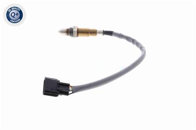 VEMO V30-76-0055 EAN: 4046001953811.