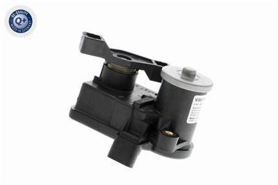 VEMO V30-77-0055 EAN: 4046001473739.