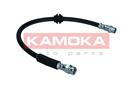 KAMOKA 1170172