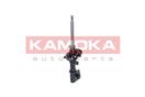 KAMOKA 2001057