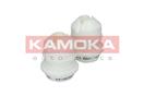 KAMOKA 2019029
