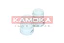 KAMOKA 2019187