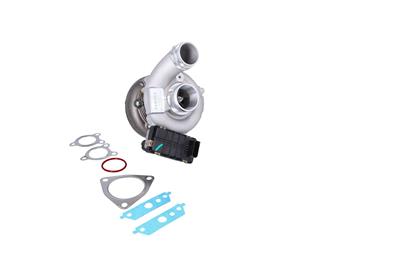 KAMOKA 8600030 EAN: 5902473264567.