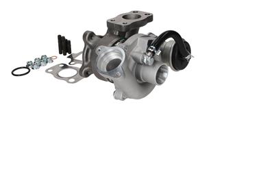 KAMOKA 8600031 EAN: 5902473264574.