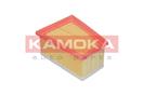 KAMOKA F202101