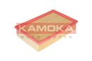 KAMOKA F203601