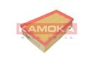 KAMOKA F204101