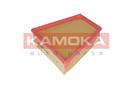 KAMOKA F205101
