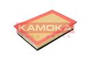 KAMOKA F205501