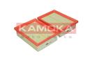 KAMOKA F206601