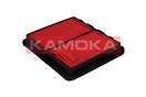 KAMOKA F207601
