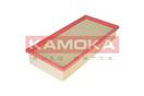 KAMOKA F208001