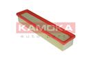 KAMOKA F208201