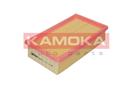KAMOKA F208501