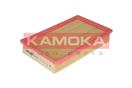 KAMOKA F210301