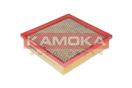 KAMOKA F216601