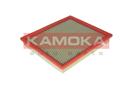 KAMOKA F217001