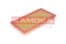 KAMOKA F217601