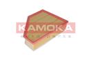 KAMOKA F219701