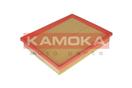 KAMOKA F220501