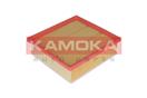 KAMOKA F222101