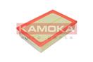 KAMOKA F222401