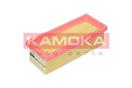 KAMOKA F228701
