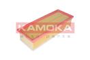 KAMOKA F229701