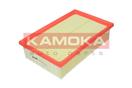 KAMOKA F229901