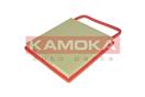 KAMOKA F233501
