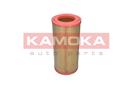 KAMOKA F236101