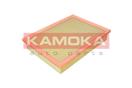 KAMOKA F258801