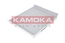 KAMOKA F400701