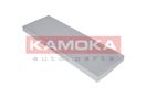 KAMOKA F401301