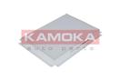KAMOKA F401701
