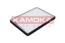 KAMOKA F404601