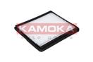 KAMOKA F405301