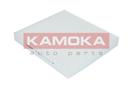 KAMOKA F407901