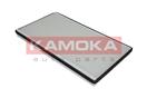 KAMOKA F408601