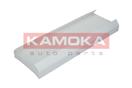 KAMOKA F408801