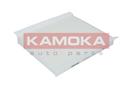 KAMOKA F410801