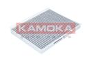 KAMOKA F502301