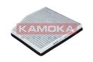 KAMOKA F502401