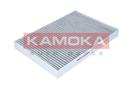 KAMOKA F502701