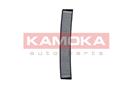 KAMOKA F504301