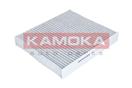 KAMOKA F504701