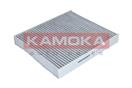 KAMOKA F509701