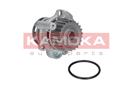 KAMOKA T0033